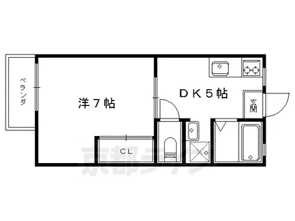 ラフィネ北白川A/B棟(1K/1階)の間取り写真