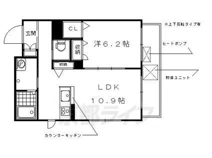 山陰本線 太秦駅(ＪＲ) 徒歩4分 3階建 築15年(1LDK/1階)の間取り写真