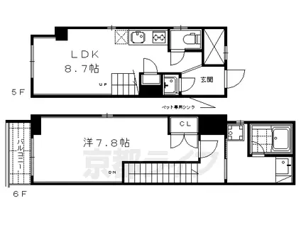 セント綾大宮Ⅱ(1LDK/5階)の間取り写真
