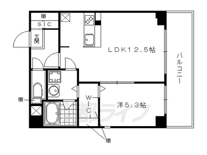 グランデュア京 東一条(1LDK/4階)の間取り写真