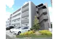京都府京都市南区吉祥院嶋高町の建物