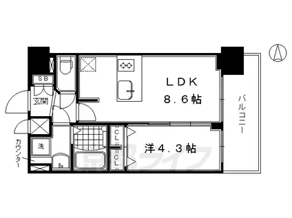京都市烏丸線 十条駅(京都市営) 徒歩5分 7階建 築6年(1LDK/7階)の間取り写真
