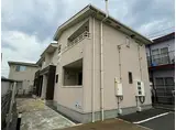 ルピナス