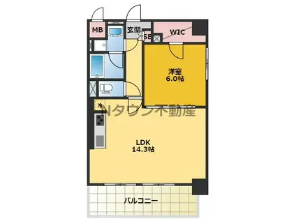 セレブレイト葵(1LDK/5階)の間取り写真