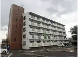 タイガーズマンション麻生