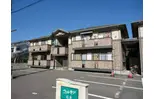 ウィルモア石井