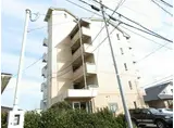 グルービーM