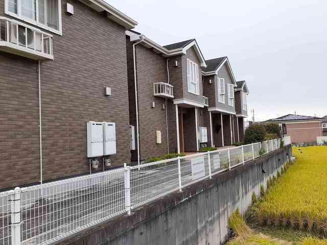 ロックガーデンC