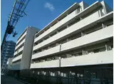 エルセレーノ石屋川