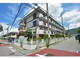 近鉄大阪線 高安駅 徒歩14分 4階建 築35年
