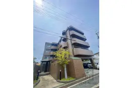 オリーブ上松