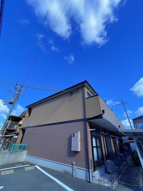 コート・エクラン光