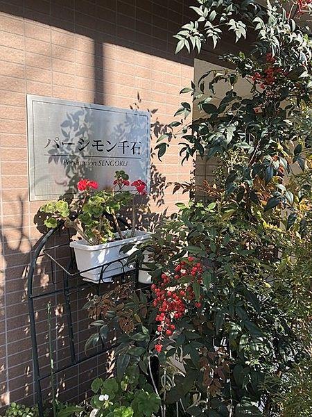 パーシモン千石