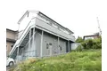 ダグラスファー