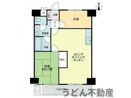 グランドメゾン松島(2LDK/2階)の間取り写真