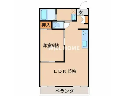 紀勢本線 紀三井寺駅 徒歩22分 5階建 築35年(1LDK/4階)の間取り写真