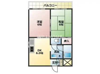 紀勢本線 紀和駅 徒歩10分 5階建 築35年(2DK/2階)の間取り写真