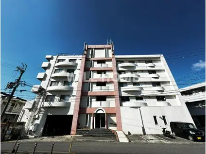 南海電鉄加太支線 東松江駅(和歌山) 徒歩18分 5階建 築31年(3DK/2階)の外観写真