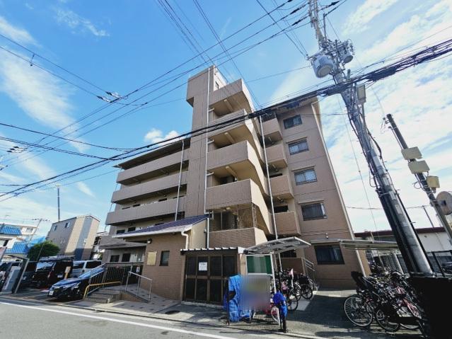 ルミネノヴァ菊田