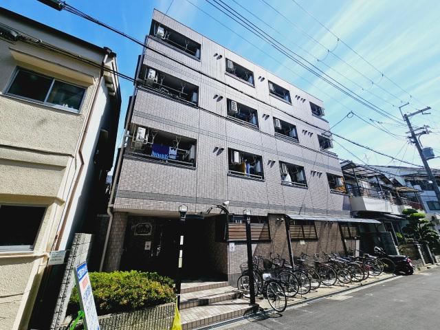 シェルコート