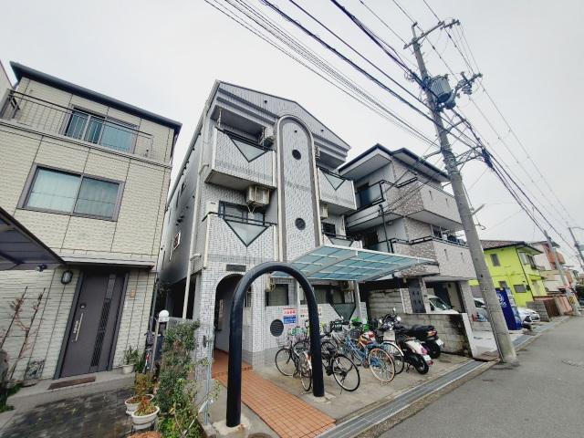 クイーン桜木