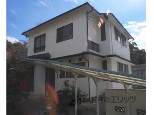 VENTURA ENDO桂