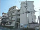 レドンダカサ玉川