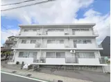 アベニュー中路