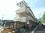 ディンプル阪本