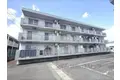 ヴェルデ夜苗