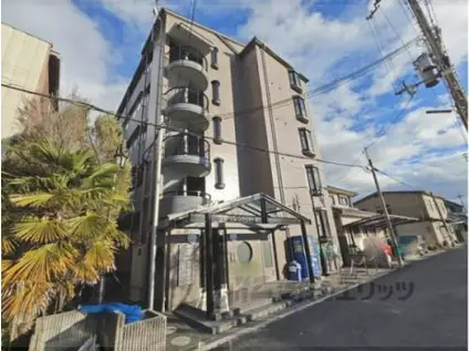 エクセレントハイツ(1K/1階)の外観写真