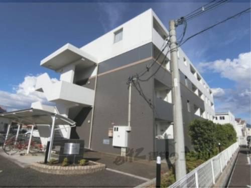 カモミール
