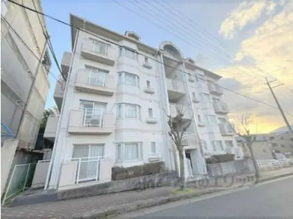 シティパレス学園前PART-1(2DK/3階)の外観写真