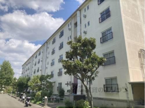 寝屋川団地C34号棟(2LDK/2階)