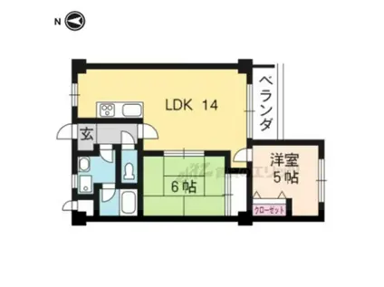 ルアーヴル村井(2LDK/1階)の間取り写真