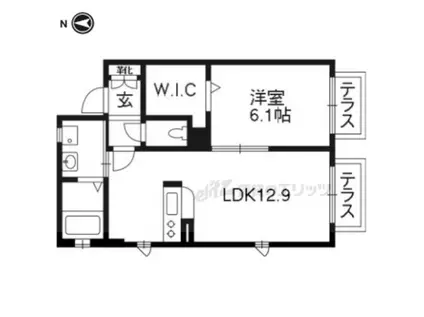 シャーメゾン栄耀(1LDK/1階)の間取り写真