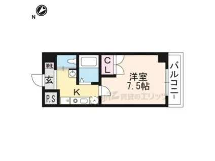 ピュアドミトリーシミズ(1K/5階)の間取り写真