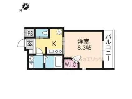 セーイ・サーリチェ(1K/3階)の間取り写真