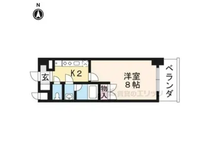 LA FONTE CAMPANA(1K/4階)の間取り写真