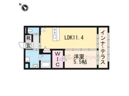 アポロンコート(1LDK/2階)の間取り写真