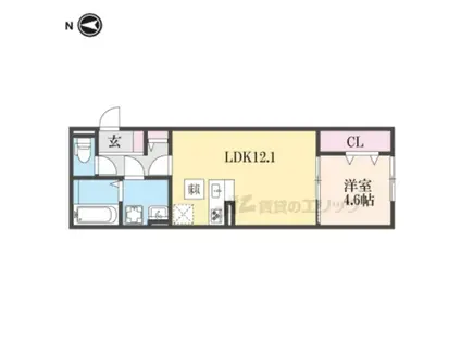 イルミナーレ(1LDK/1階)の間取り写真