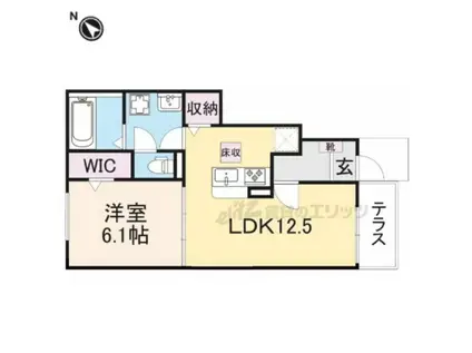 ラフィーネ(1LDK/1階)の間取り写真