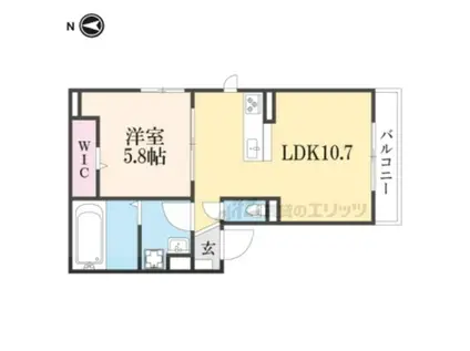 グランピア石山(1LDK/1階)の間取り写真