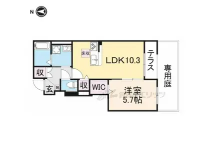 フィラーレ藤(1LDK/1階)の間取り写真