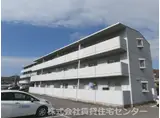 グリーンフルいがみ