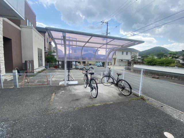 MSコート紫雲