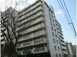 グランドハイツ向之芝N