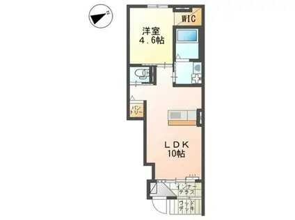 メゾン・ココ岩波(1LDK/1階)の間取り写真