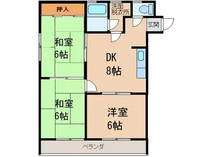 南海本線 紀ノ川駅 徒歩16分 3階建 築41年(3DK/2階)の間取り写真