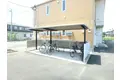 カーネーションD